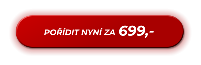 699,- POŘÍDIT NYNÍ ZA