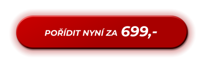 699,- POŘÍDIT NYNÍ ZA