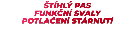 ŠTÍHLÝ PAS FUNKČNÍ SVALY POTLAČENÍ STÁRNUTÍ