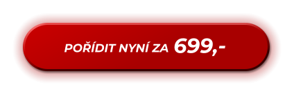 699,- POŘÍDIT NYNÍ ZA