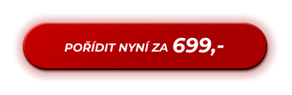 699,- POŘÍDIT NYNÍ ZA
