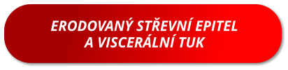 ERODOVANÝ STŘEVNÍ EPITEL A VISCERÁLNÍ TUK