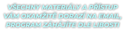 VŠECHNY MATERIÁLY A PŘÍSTUP  VÁM OKAMŽITĚ DORAZÍ NA EMAIL, PROGRAM ZÁHÁJÍTE DLE LIBOSTI