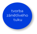 tvorba zánětlivého  tuku