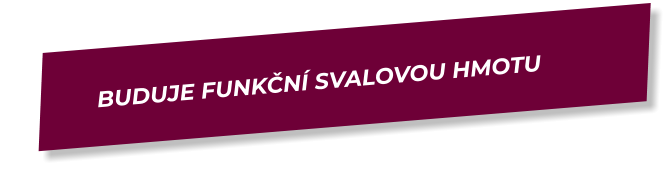 Buduje funkční svalovou hmotu