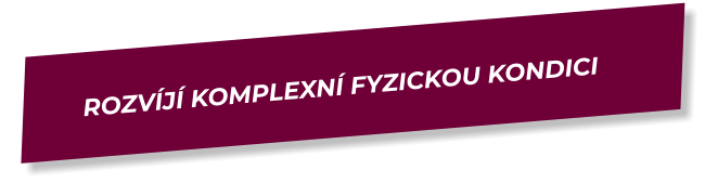 ROZVÍJÍ KOMPLEXNÍ FYZICKOU KONDICI