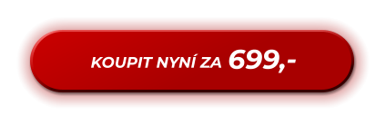 699,- KOUPIT NYNÍ ZA