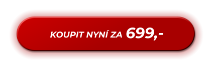 699,- KOUPIT NYNÍ ZA
